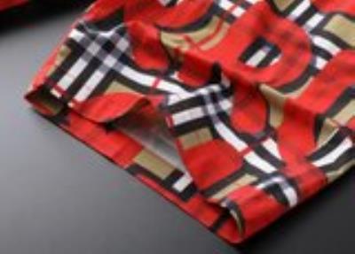 wholesale quality burberry shorts model no. 62