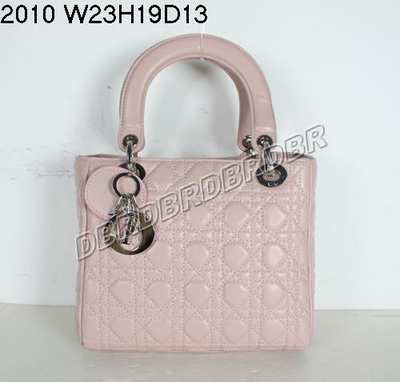 Christian Dior Handbag-2010fen_54