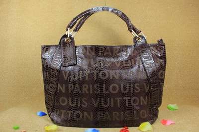 Louis Vuitton M95097 sfeis