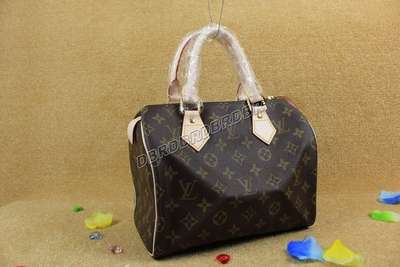 Louis Vuitton N41528