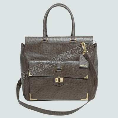 Fendi Handbag-2463Lshuito_578