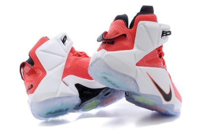 cheap lebron james xii cheap no. 345