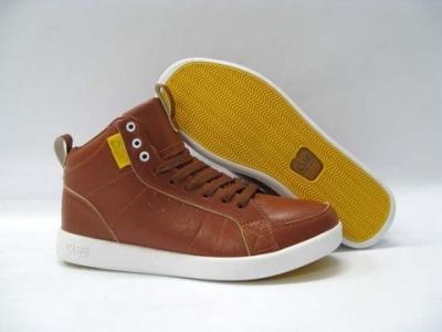 CLAE-14