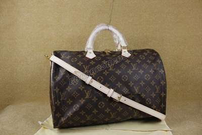 Louis Vuitton M40393