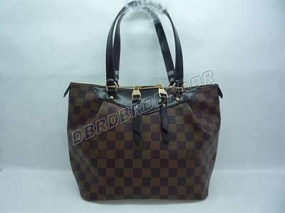 Louis Vuitton N41102